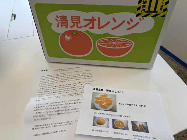 清見オレンジ